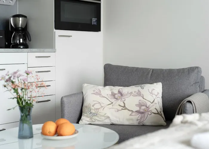 Wallesmanni - Nokia Arena By In! Апарт-отель Тампере